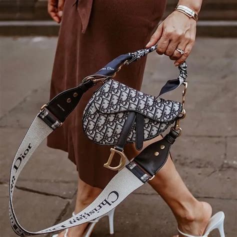 dior chrome saddle bag